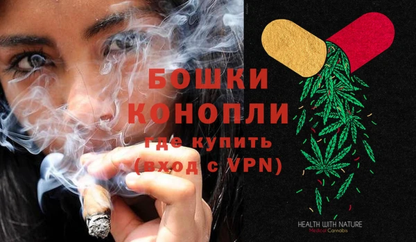 гидра Лагань