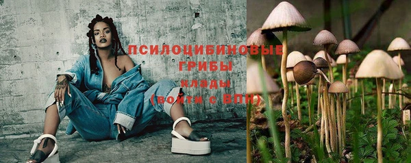 гидра Абинск