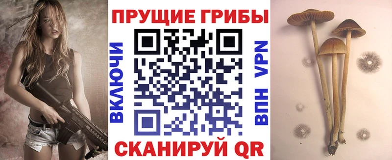 Галлюциногенные грибы Cubensis  Юрюзань 