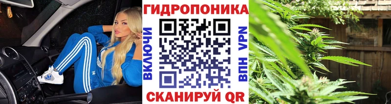 Каннабис OG Kush  Юрюзань 